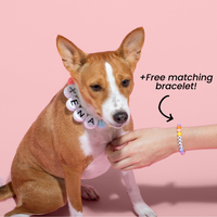 Handmade BFF Dog Collar + Free Matching Bracelet