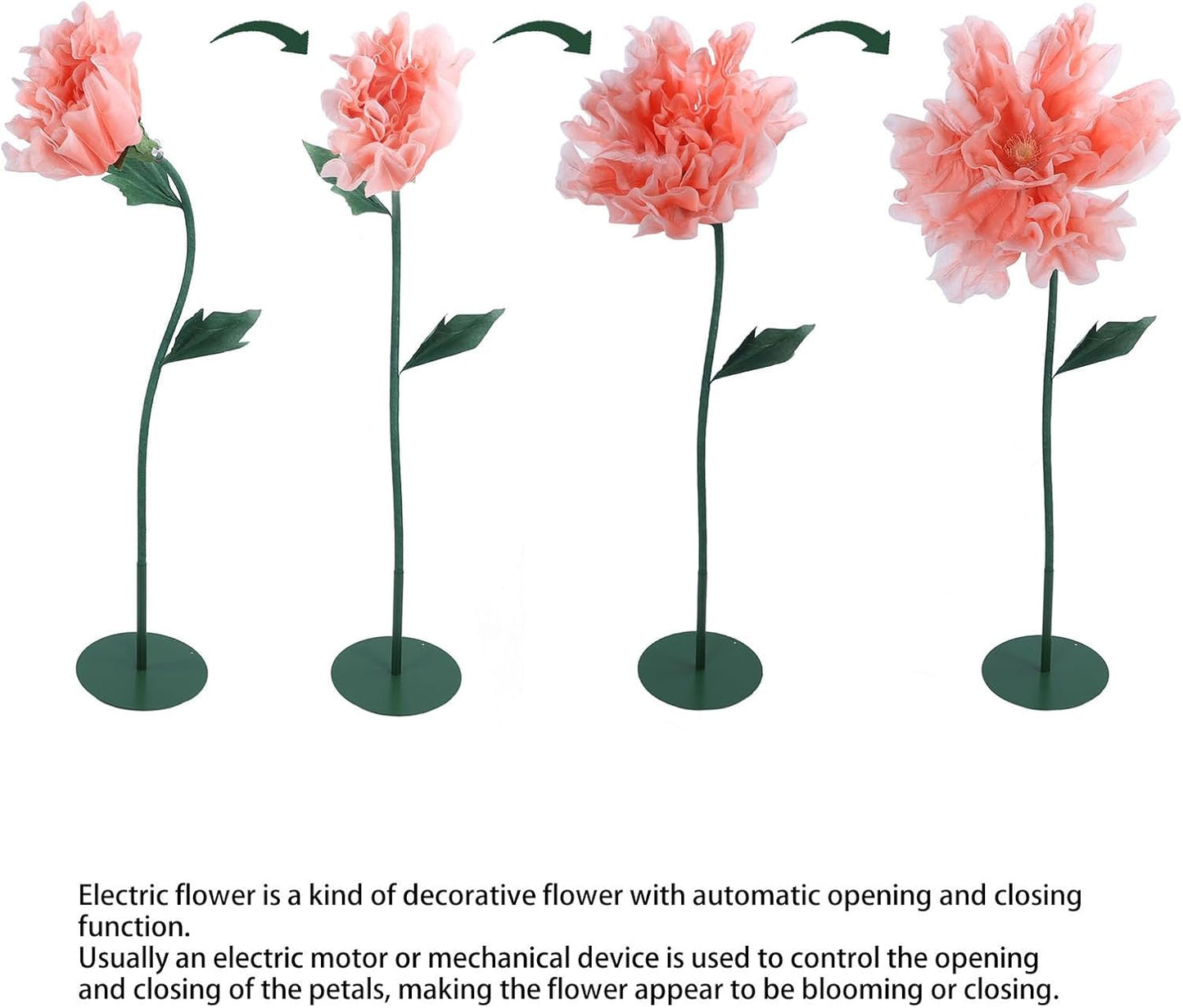 The Bloom Lamp
