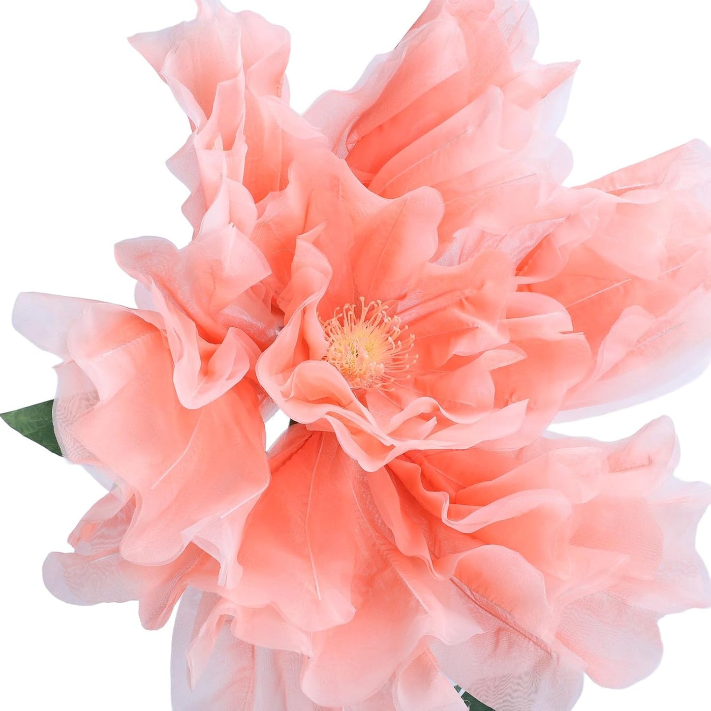 The Bloom Lamp