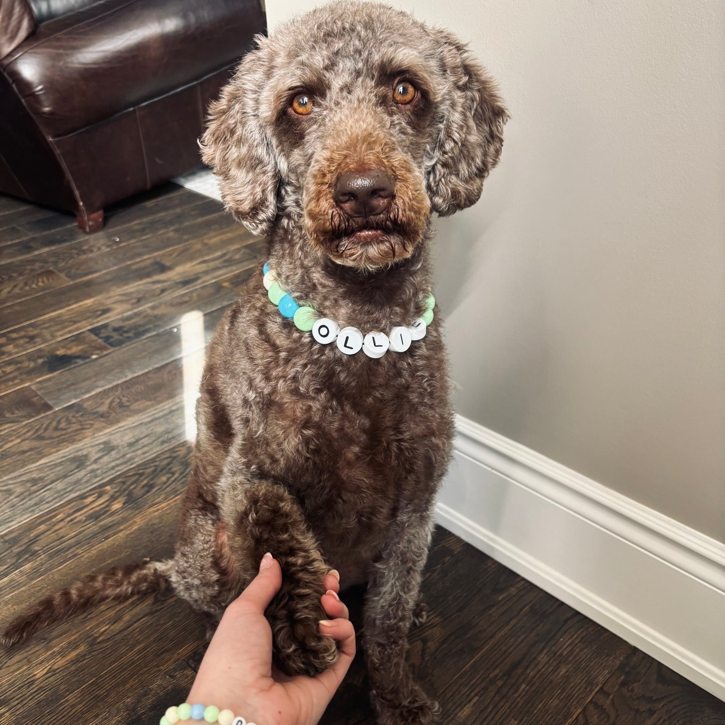 Handmade BFF Dog Collar + Free Matching Bracelet