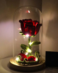 Enchanted Rose