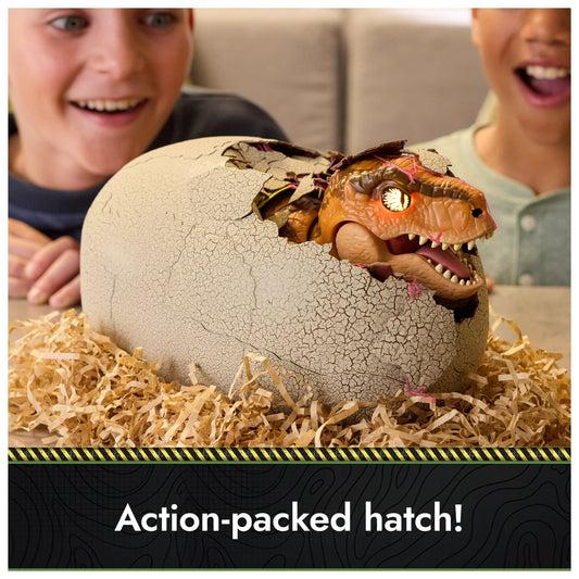 T-Rex Hatch Toy
