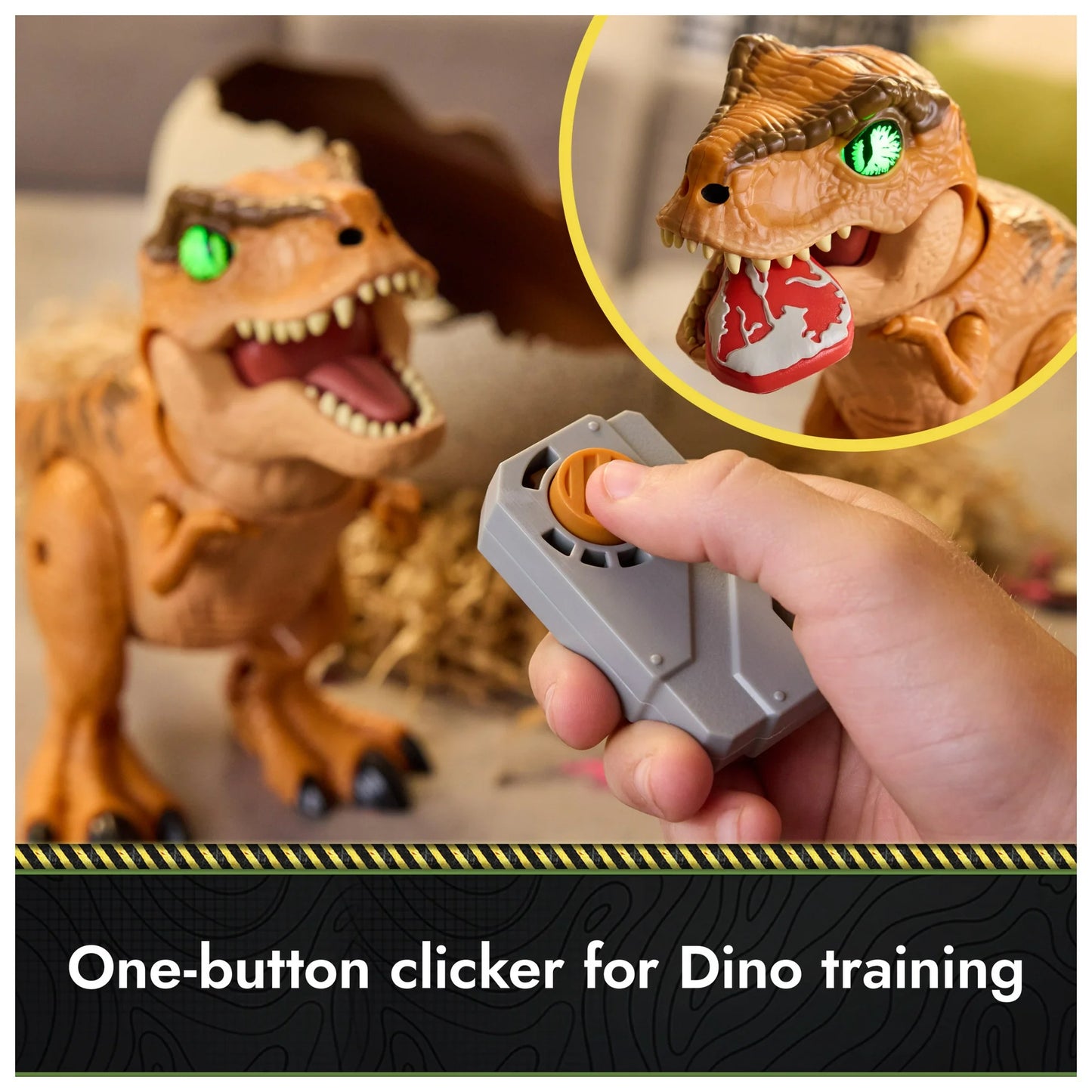 T-Rex Hatch Toy