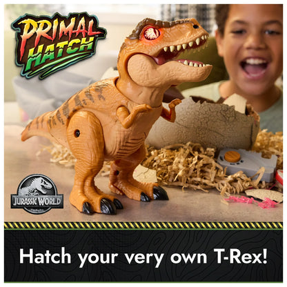 T-Rex Hatch Toy