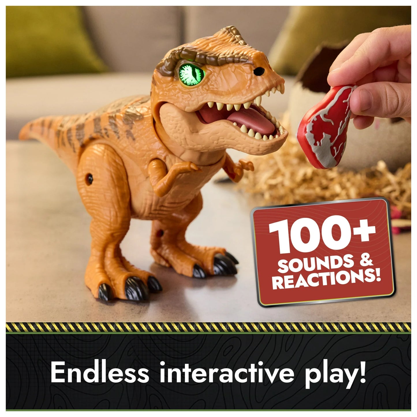 T-Rex Hatch Toy