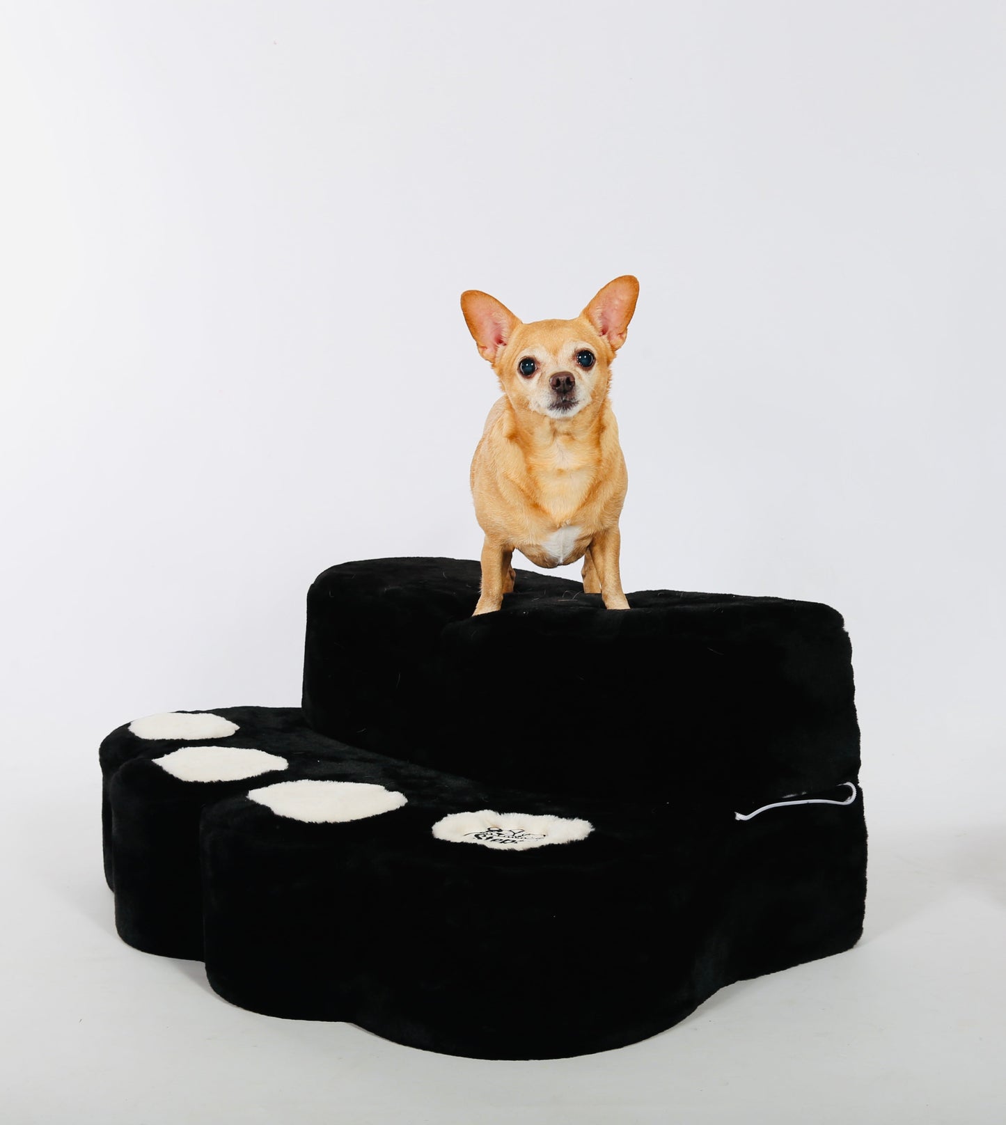 Steppy Bed