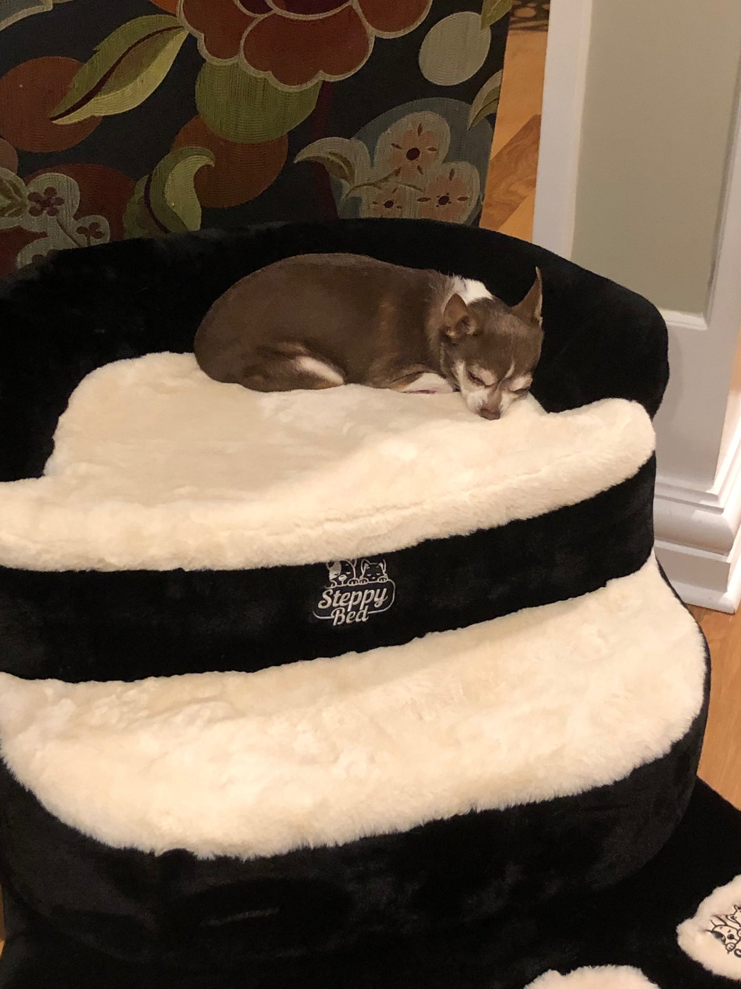 Steppy Bed