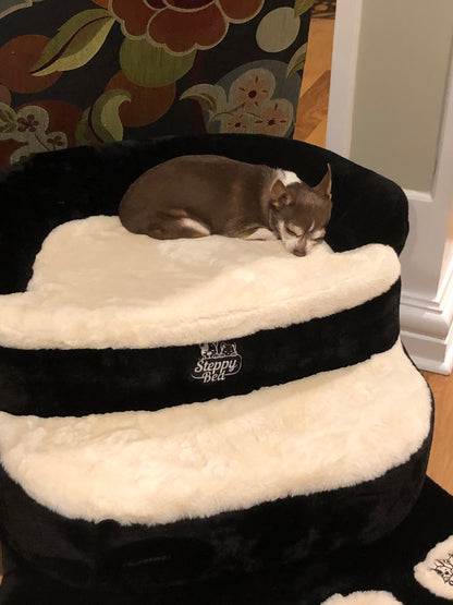 Steppy Bed