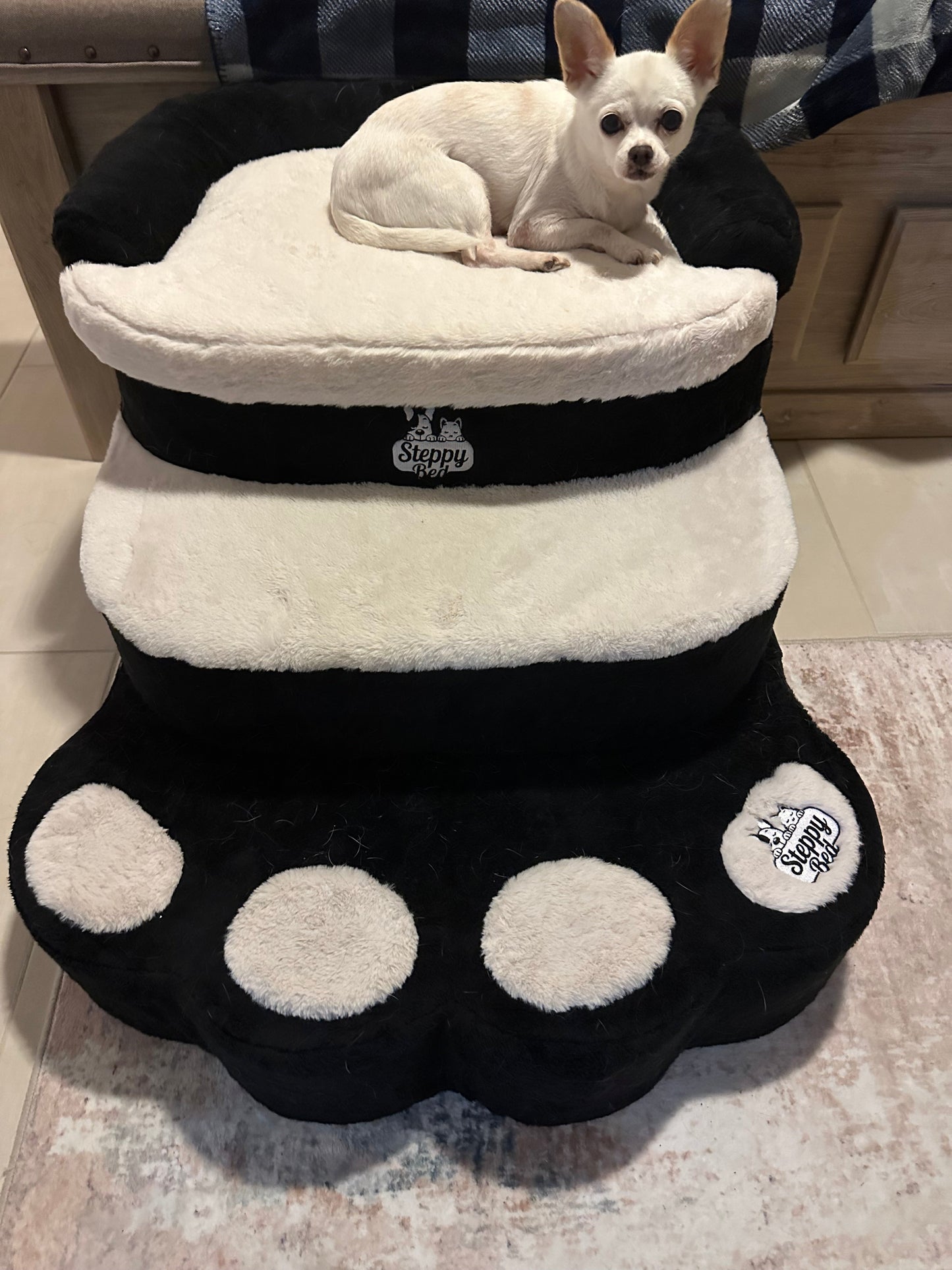 Steppy Bed