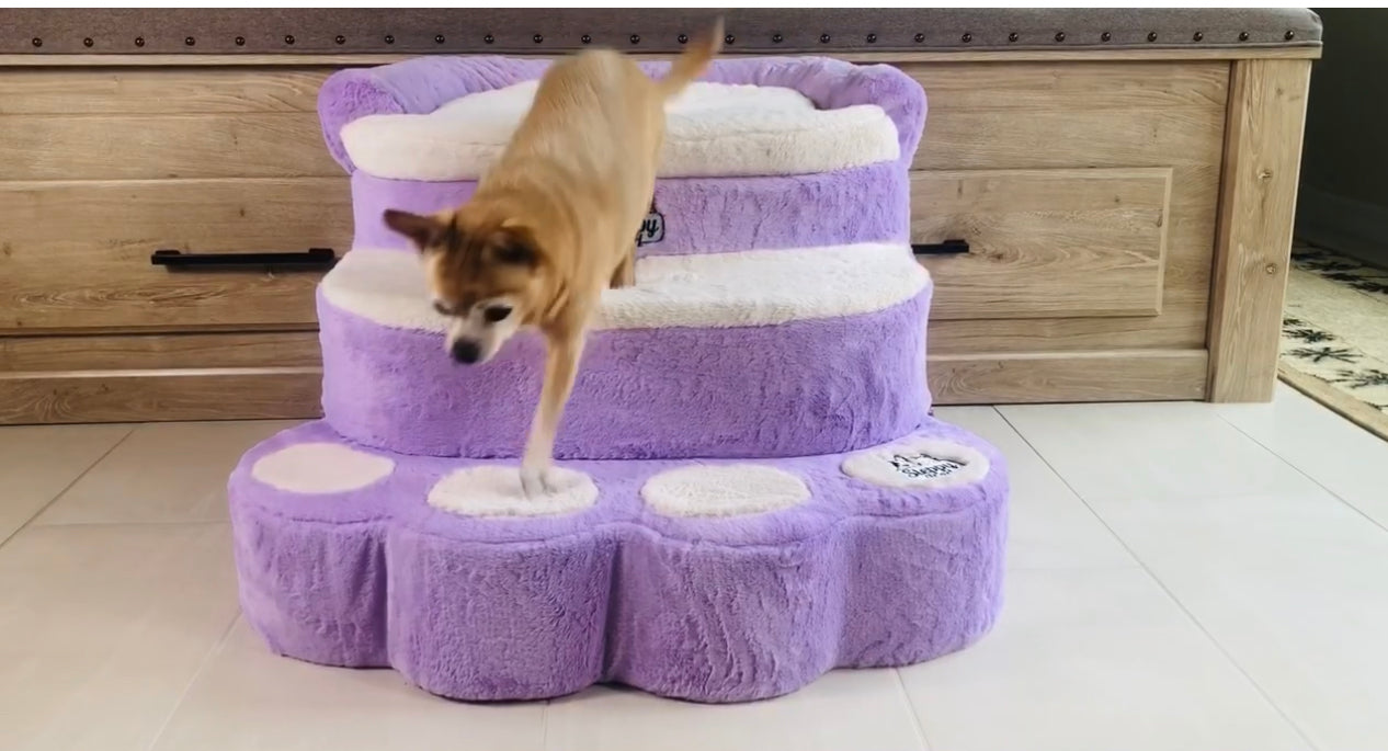 Steppy Bed