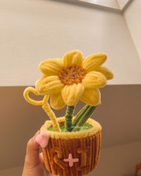 Sunny Charm