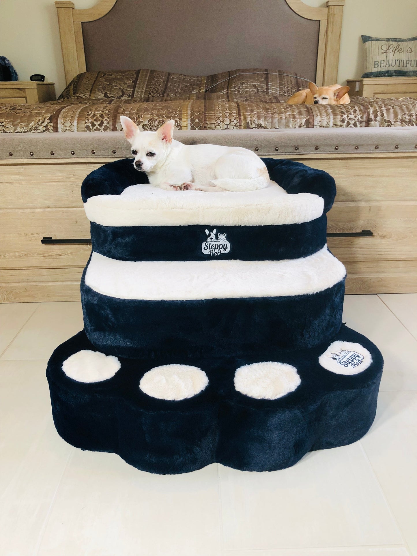 Steppy Bed
